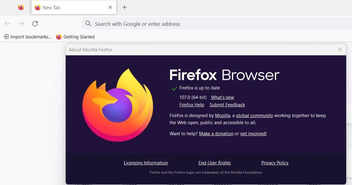 update Firefox browser