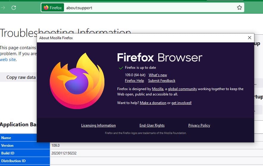 Обновите браузер Firefox