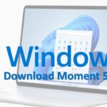 Download windows 11 moment 5 update